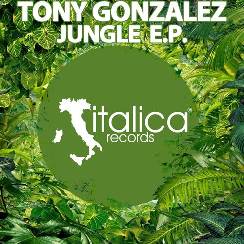 Jungle