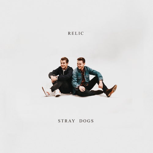 Stray Dogs