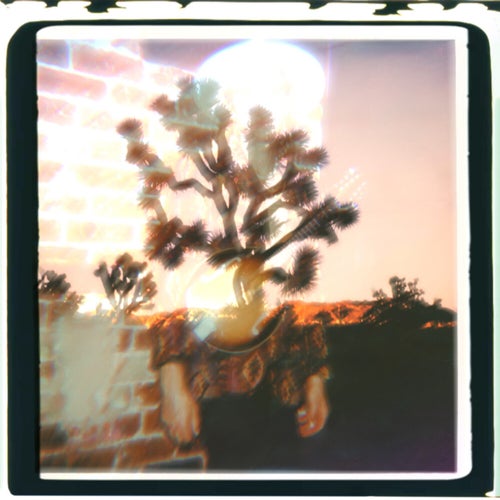 Roots