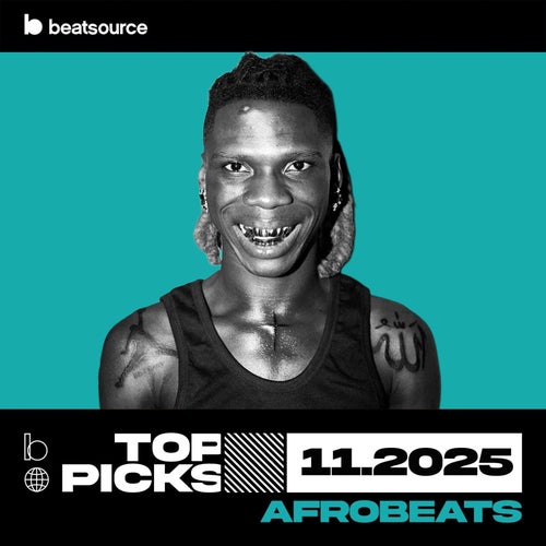 Afrobeats Top Picks November 2025 playlist