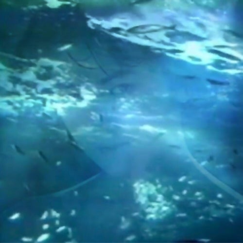 水浸し