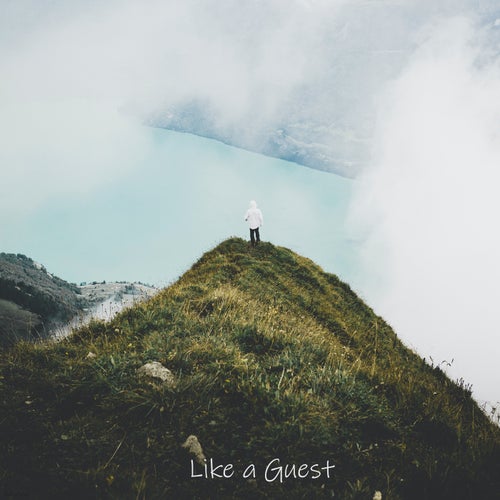 Like a Guest