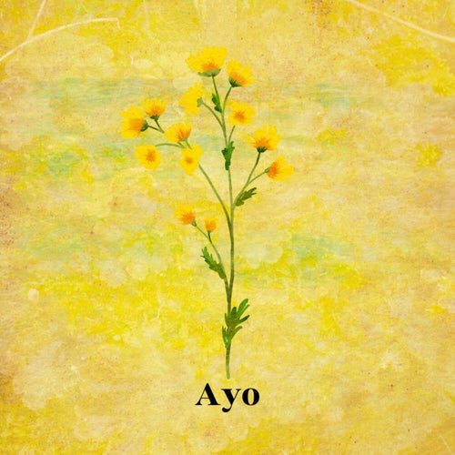 Ayo