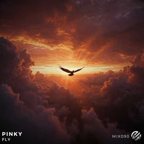 Fly
