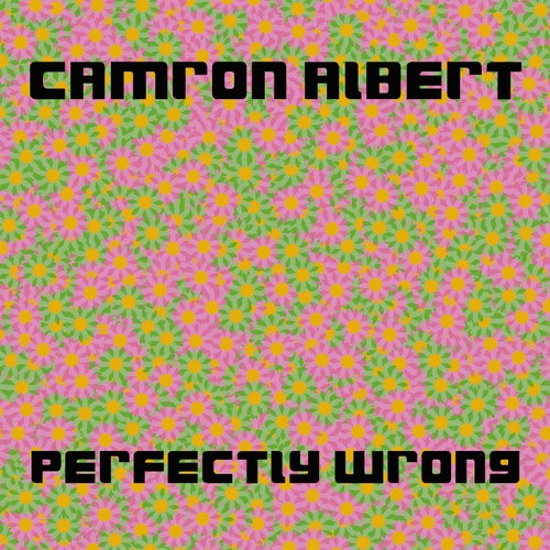 Perfectly Wrong
