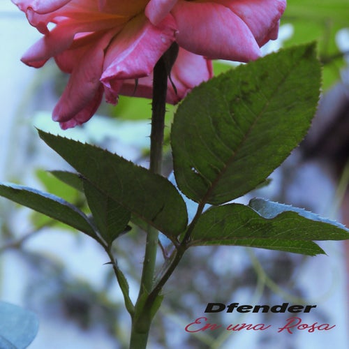 En Una Rosa