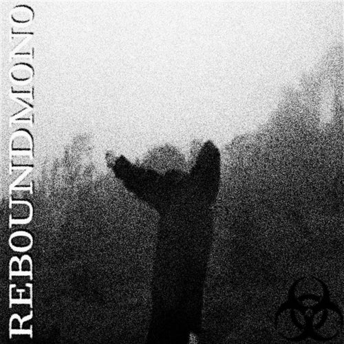 REB0UNDM0N0.mts