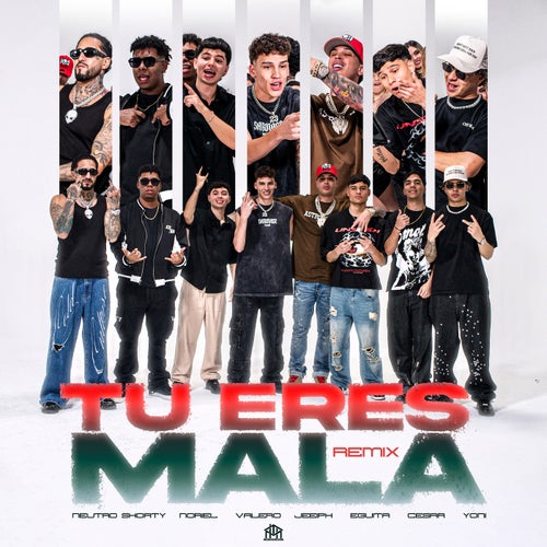 Tu Eres Mala (Remix)