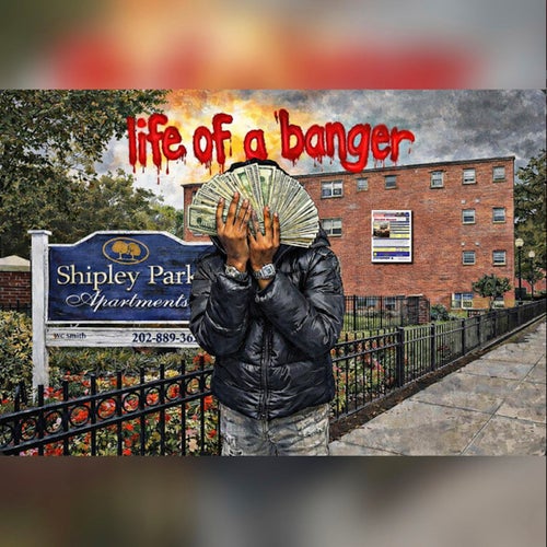 Life of a BANGER