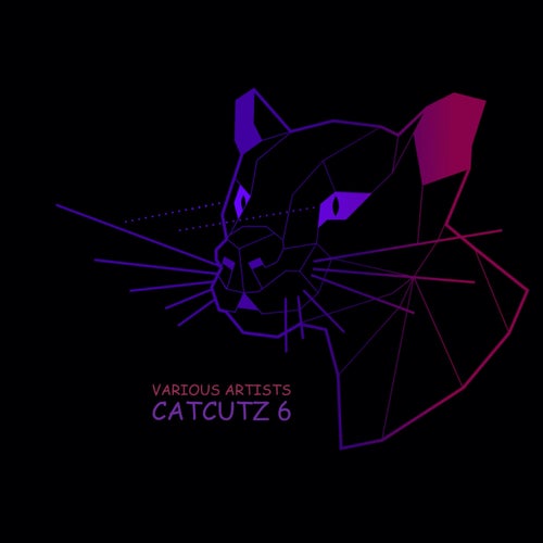 Catcutz 6