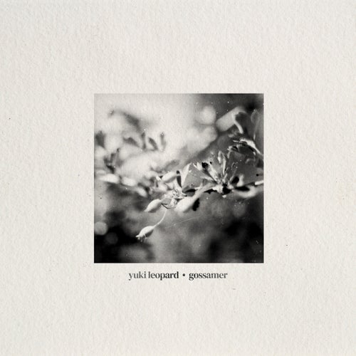 Gossamer