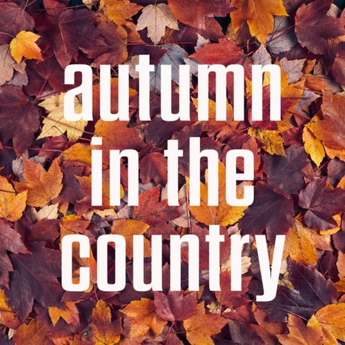 autumn in the country