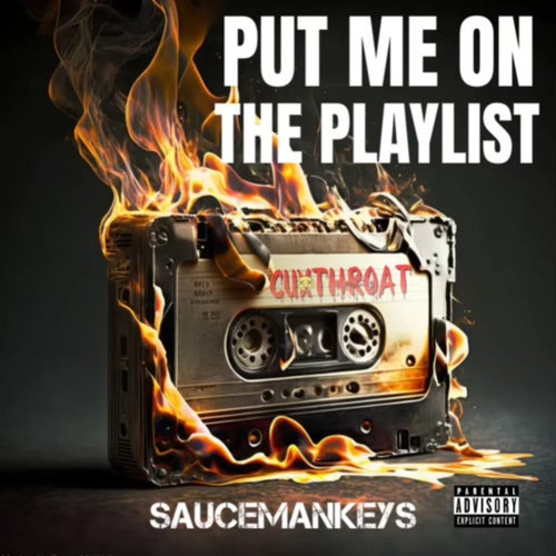 Put Me on the Playlist