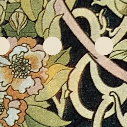 Butterfly Season
