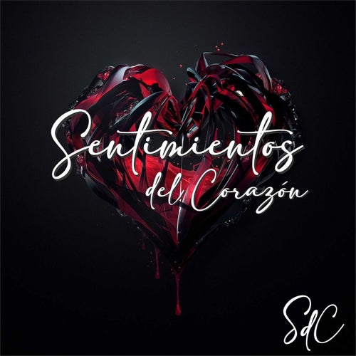 Sdc