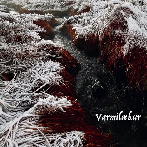 Varmilækur