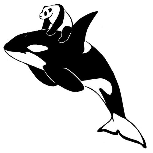 Pandawhale Company Profile