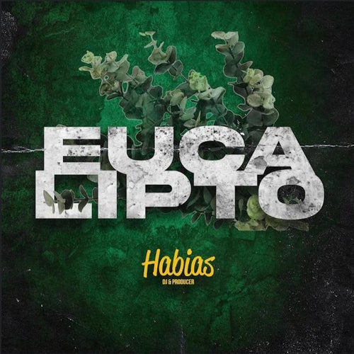 Eucalipto
