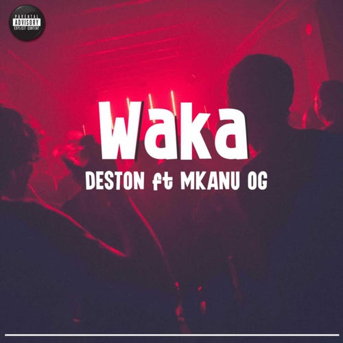 Waka (feat. Mkanu OG)
