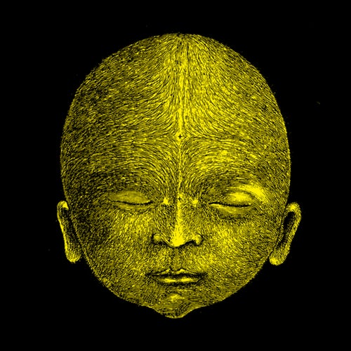Face Like a Skull