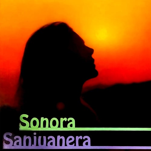 Sonora Sanjuanera