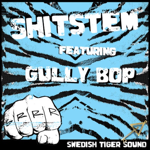Shitstem