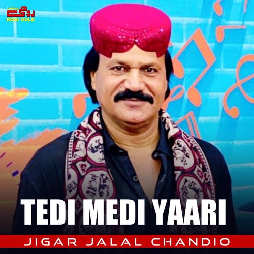 Tedi Medi Yaari