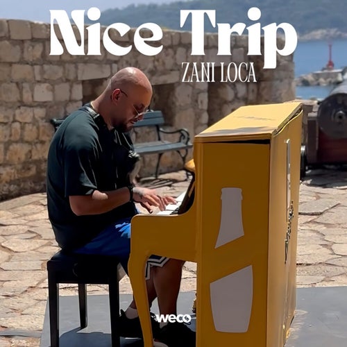 Nice Trip