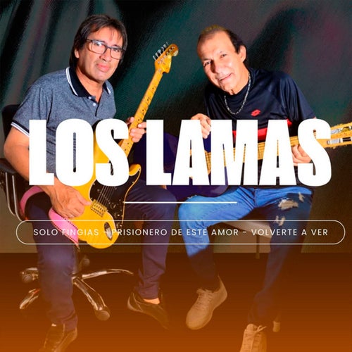 Solo Fingias / Prisionero de este amor / Volverte a ver