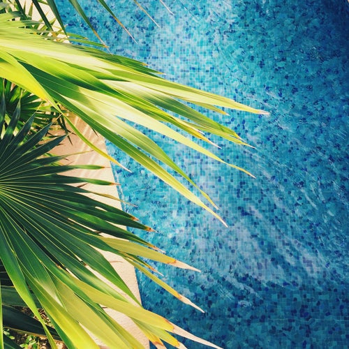 By the Pool