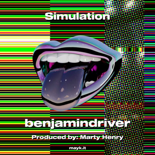 Simulation