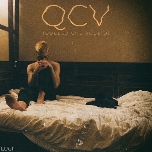 QCV (QUELLO CHE VOGLIO)
