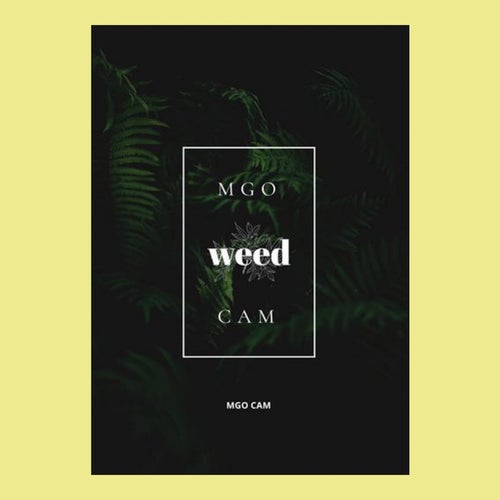 weed