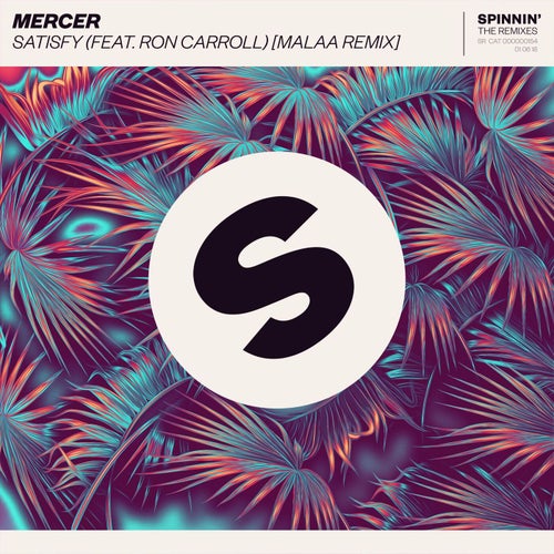 Satisfy (feat. Ron Carroll) (Malaa Extended Remix)