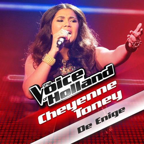 De Enige (From The Voice Of Holland)