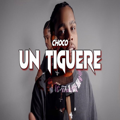 UN TIGUERE