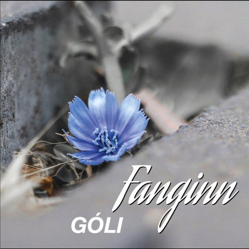 Fanginn