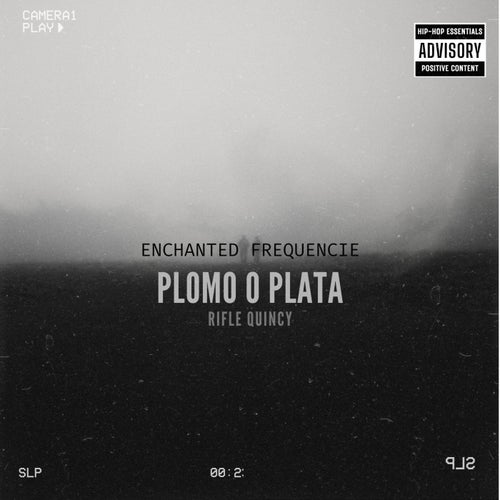 PLOMO O PLATA