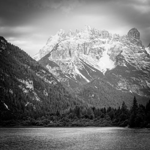 Gone but Not Forgotten