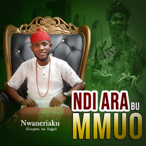 Ndi Ara Bu Mmuo