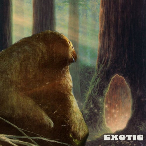 Exotic