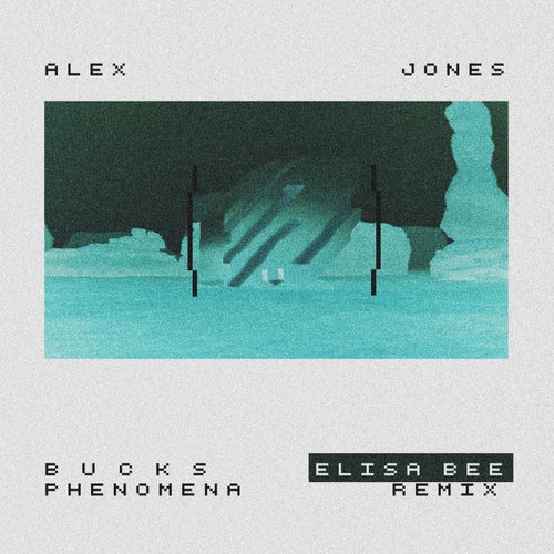 Bucks Phenomena (Elisa Bee Remix)