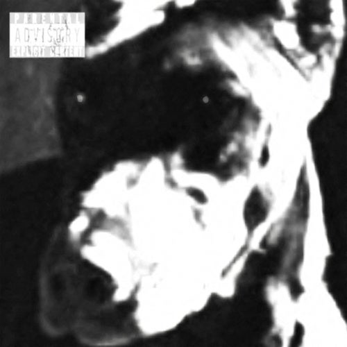 dogfood