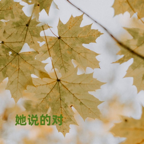 她说的对