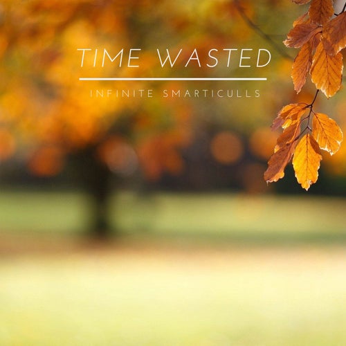 Time Wasted