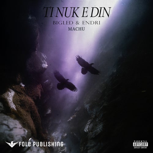 Release of the week