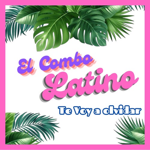 Te Voy a Olvidar
