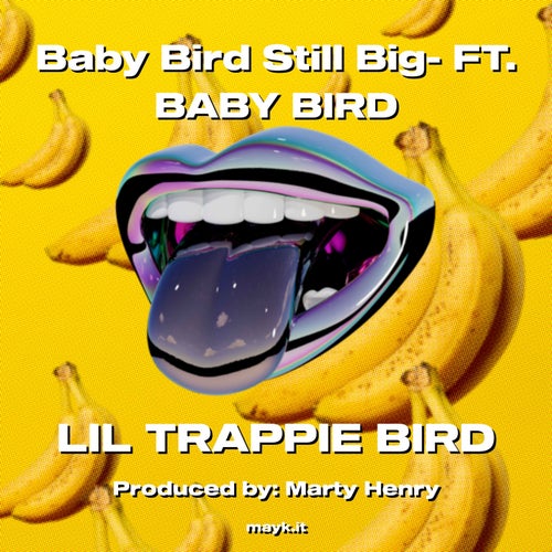 Baby Bird Still Big- FT. BABY BIRD
