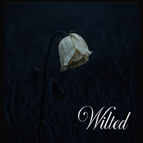 Wilted