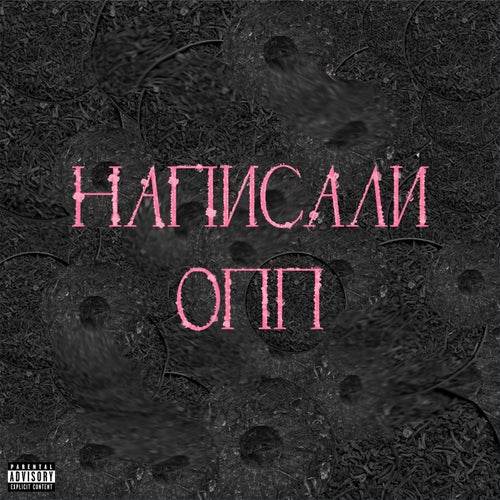 Написали ОПП